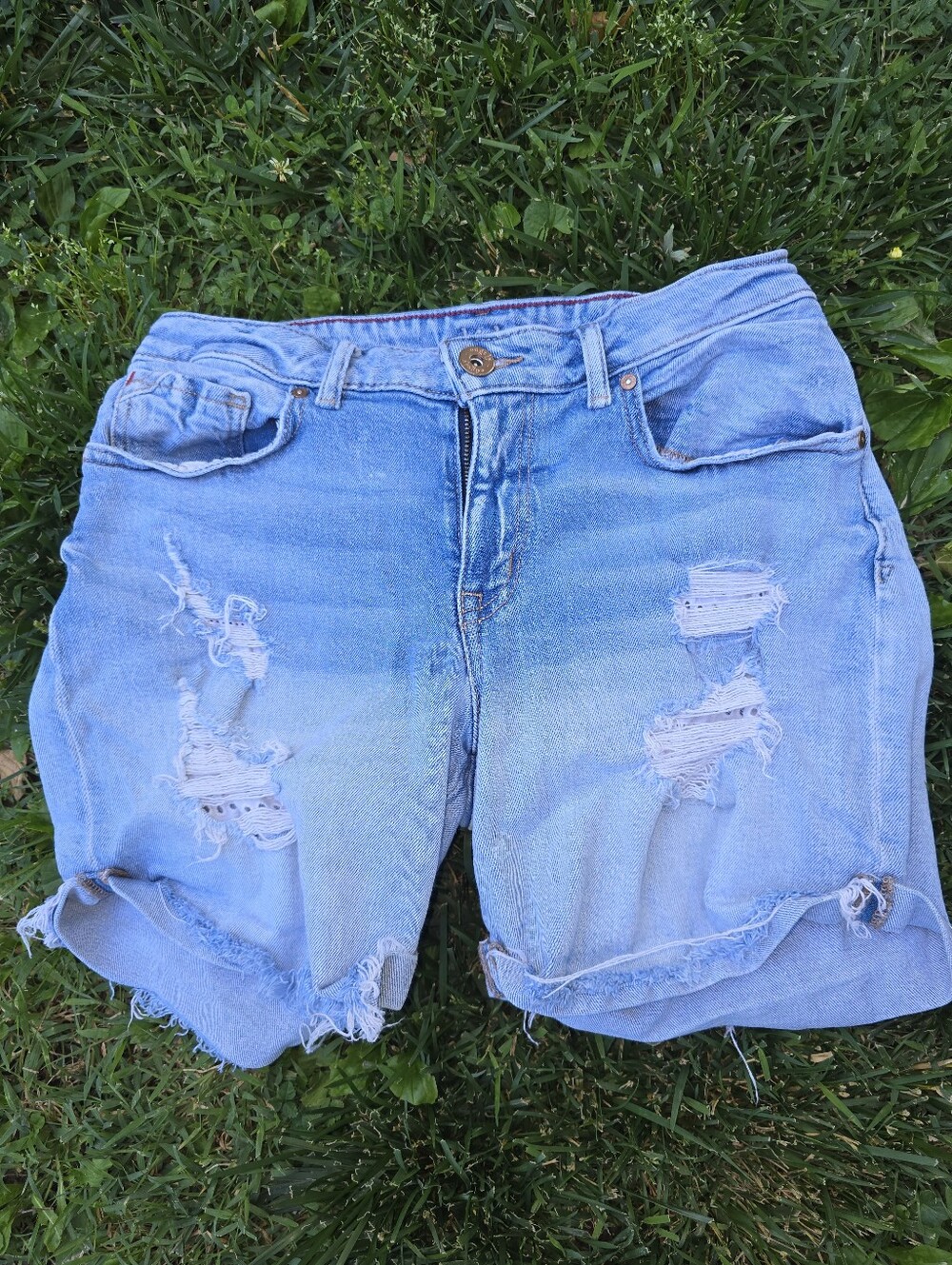 Edgely Jean Shorts